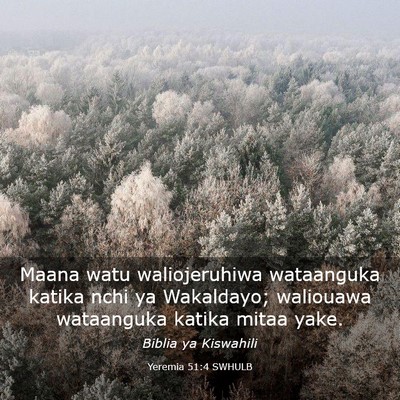 Picture 03 - Yeremia 51:4 SWHULB - Maana watu waliojeruhiwa wataanguka katika nchi - Bible Verse Picture