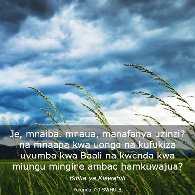 Picture 03 - Yeremia 7:9 SWHULB - Je, mnaiba. mnaua, manafanya uzinzi? na mnaapa - Bible Verse Picture