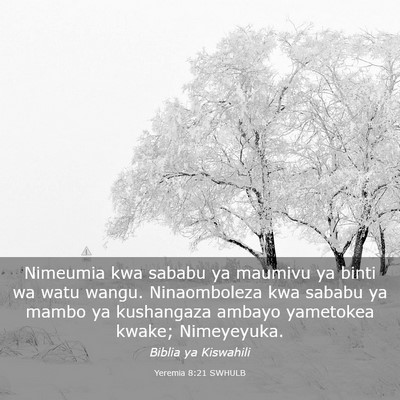 Picture 03 - Yeremia 8:21 SWHULB - Nimeumia kwa sababu ya maumivu ya binti wa watu - Bible Verse Picture