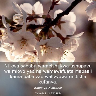 Picture 03 - Yeremia 9:14 SWHULB - Ni kwa sababu wameishi kwa ushupavu wa mioyo yao - Bible Verse Picture