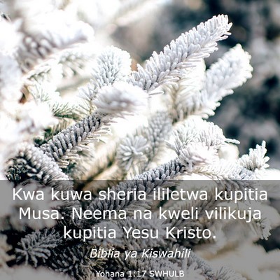 Picture 03 - Yohana 1:17 SWHULB - Kwa kuwa sheria ililetwa kupitia Musa. Neema na - Bible Verse Picture