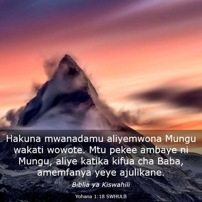 Picture 03 - Yohana 1:18 SWHULB - Hakuna mwanadamu aliyemwona Mungu wakati wowote. - Bible Verse Picture
