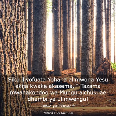 Picture 03 - Yohana 1:29 SWHULB - Siku iliyofuata Yohana alimwona Yesu akija kwake - Bible Verse Picture