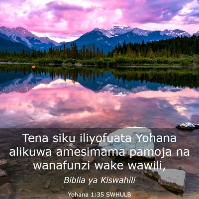 Picture 03 - Yohana 1:35 SWHULB - Tena siku iliyofuata Yohana alikuwa amesimama - Bible Verse Picture
