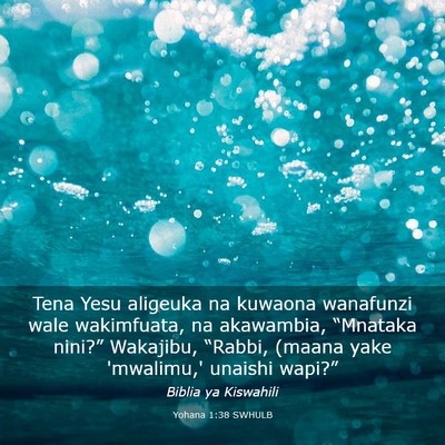 Picture 03 - Yohana 1:38 SWHULB - Tena Yesu aligeuka na kuwaona wanafunzi wale - Bible Verse Picture