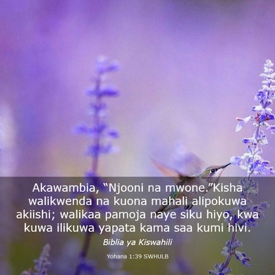 Picture 03 - Yohana 1:39 SWHULB - Akawambia, “Njooni na mwone.”Kisha walikwenda - Bible Verse Picture