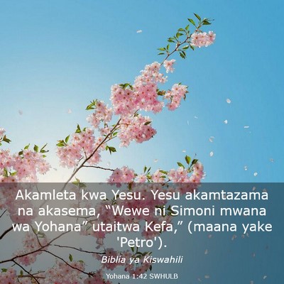 Picture 03 - Yohana 1:42 SWHULB - Akamleta kwa Yesu. Yesu akamtazama na akasema, - Bible Verse Picture