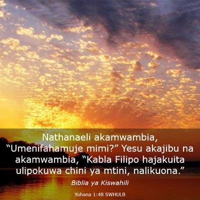 Picture 03 - Yohana 1:48 SWHULB - Nathanaeli akamwambia, “Umenifahamuje mimi?” - Bible Verse Picture