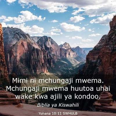 Picture 03 - Yohana 10:11 SWHULB - Mimi ni mchungaji mwema. Mchungaji mwema huutoa - Bible Verse Picture