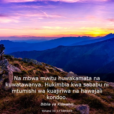 Picture 03 - Yohana 10:13 SWHULB - Na mbwa mwitu huwakamata na kuwatawanya. Hukimbia - Bible Verse Picture