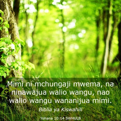 Picture 03 - Yohana 10:14 SWHULB - Mimi ni mchungaji mwema, na ninawajua walio - Bible Verse Picture