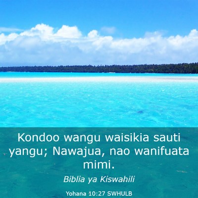 Picture 03 - Yohana 10:27 SWHULB - Kondoo wangu waisikia sauti yangu; Nawajua, nao - Bible Verse Picture