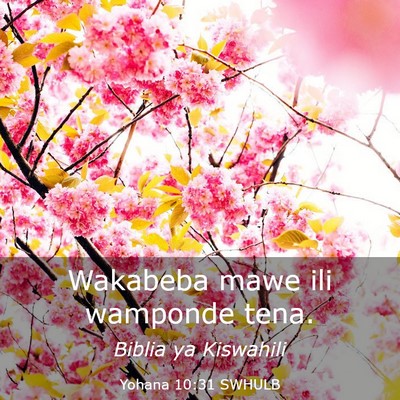 Picture 03 - Yohana 10:31 SWHULB - Wakabeba mawe ili wamponde - Bible Verse Picture