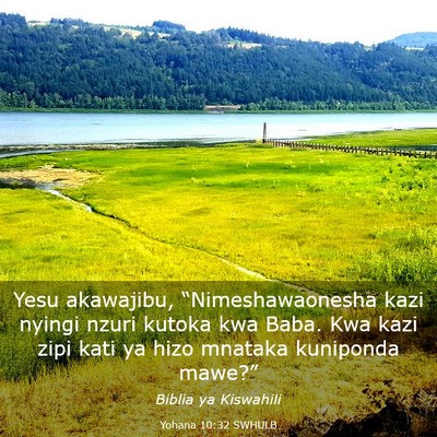 Picture 03 - Yohana 10:32 SWHULB - Yesu akawajibu, “Nimeshawaonesha kazi nyingi - Bible Verse Picture