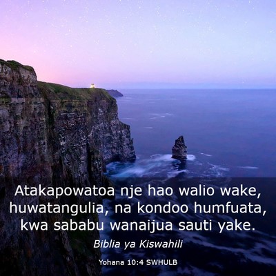 Picture 03 - Yohana 10:4 SWHULB - Atakapowatoa nje hao walio wake, huwatangulia, na - Bible Verse Picture