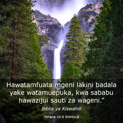 Picture 03 - Yohana 10:5 SWHULB - Hawatamfuata mgeni lakini badala yake - Bible Verse Picture
