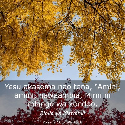 Picture 03 - Yohana 10:7 SWHULB - Yesu akasema nao tena, “Amini, amini, - Bible Verse Picture