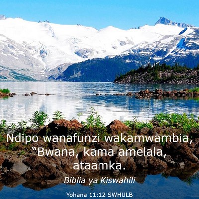 Picture 03 - Yohana 11:12 SWHULB - Ndipo wanafunzi wakamwambia, “Bwana, kama - Bible Verse Picture