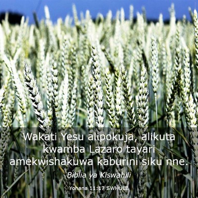 Picture 03 - Yohana 11:17 SWHULB - Wakati Yesu alipokuja, alikuta kwamba Lazaro - Bible Verse Picture