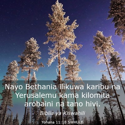 Picture 03 - Yohana 11:18 SWHULB - Nayo Bethania ilikuwa karibu na Yerusalemu kama - Bible Verse Picture