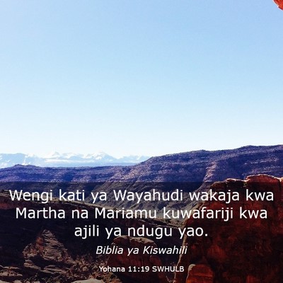 Picture 03 - Yohana 11:19 SWHULB - Wengi kati ya Wayahudi wakaja kwa Martha na - Bible Verse Picture