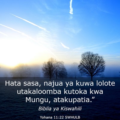Picture 03 - Yohana 11:22 SWHULB - Hata sasa, najua ya kuwa lolote utakaloomba - Bible Verse Picture