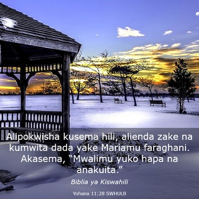 Picture 03 - Yohana 11:28 SWHULB - Alipokwisha kusema hili, alienda zake na kumwita - Bible Verse Picture