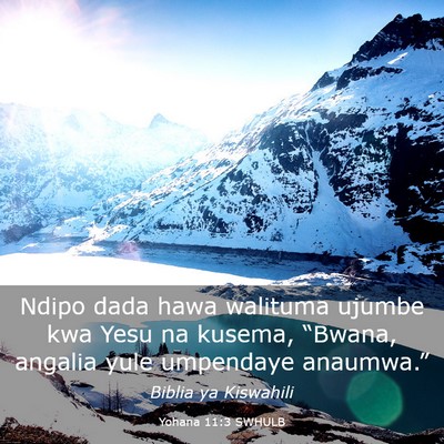 Picture 03 - Yohana 11:3 SWHULB - Ndipo dada hawa walituma ujumbe kwa Yesu na - Bible Verse Picture