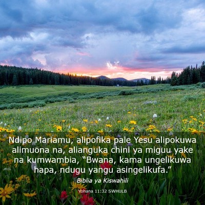 Picture 03 - Yohana 11:32 SWHULB - Ndipo Mariamu, alipofika pale Yesu alipokuwa - Bible Verse Picture
