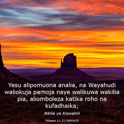 Picture 03 - Yohana 11:33 SWHULB - Yesu alipomuona analia, na Wayahudi waliokuja - Bible Verse Picture