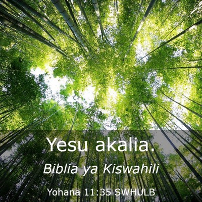 Picture 03 - Yohana 11:35 SWHULB - Yesu - Bible Verse Picture