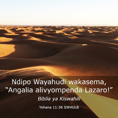 Picture 03 - Yohana 11:36 SWHULB - Ndipo Wayahudi wakasema, “Angalia alivyompenda - Bible Verse Picture