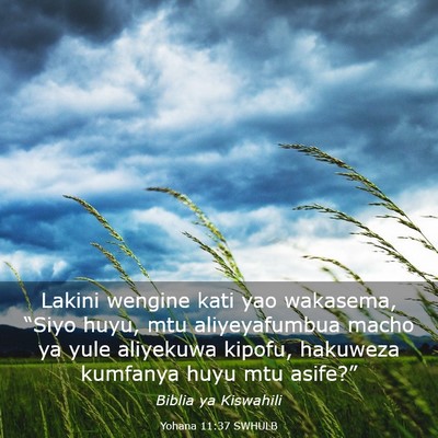 Picture 03 - Yohana 11:37 SWHULB - Lakini wengine kati yao wakasema, “Siyo huyu, - Bible Verse Picture