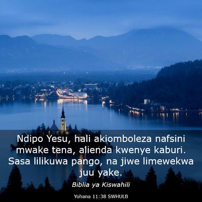 Picture 03 - Yohana 11:38 SWHULB - Ndipo Yesu, hali akiomboleza nafsini mwake tena, - Bible Verse Picture