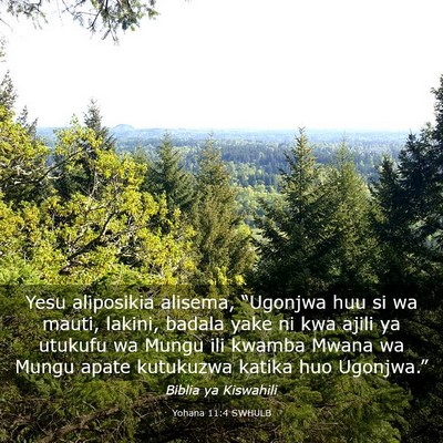 Picture 03 - Yohana 11:4 SWHULB - Yesu aliposikia alisema, “Ugonjwa huu si wa - Bible Verse Picture