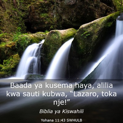 Picture 03 - Yohana 11:43 SWHULB - Baada ya kusema haya, alilia kwa sauti kubwa, - Bible Verse Picture