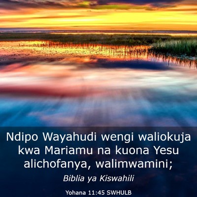 Picture 03 - Yohana 11:45 SWHULB - Ndipo Wayahudi wengi waliokuja kwa Mariamu na - Bible Verse Picture