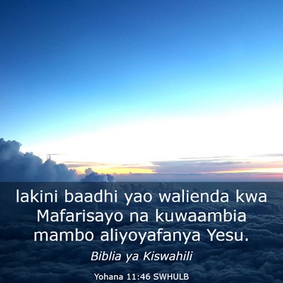 Picture 03 - Yohana 11:46 SWHULB - lakini baadhi yao walienda kwa Mafarisayo na - Bible Verse Picture