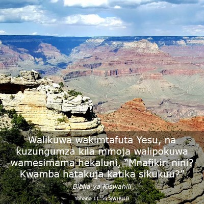 Picture 03 - Yohana 11:56 SWHULB - Walikuwa wakimtafuta Yesu, na kuzungumza kila - Bible Verse Picture