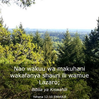 Picture 03 - Yohana 12:10 SWHULB - Nao wakuu wa makuhani wakafanya shauri ili wamue - Bible Verse Picture
