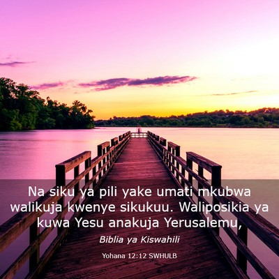 Picture 03 - Yohana 12:12 SWHULB - Na siku ya pili yake umati mkubwa walikuja kwenye - Bible Verse Picture