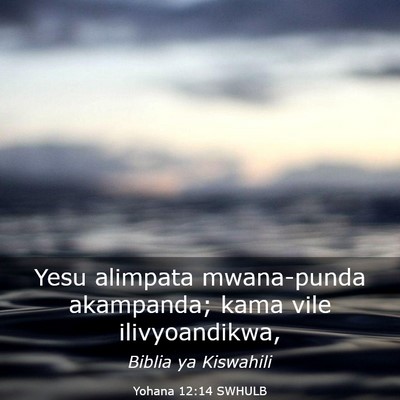 Picture 03 - Yohana 12:14 SWHULB - Yesu alimpata mwana-punda akampanda; kama vile - Bible Verse Picture