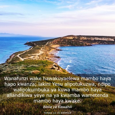 Picture 03 - Yohana 12:16 SWHULB - Wanafunzi wake hawakuyaelewa mambo haya hapo - Bible Verse Picture