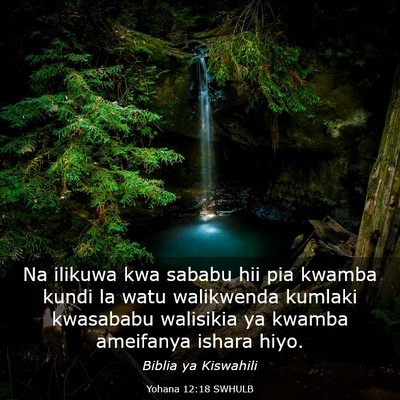 Picture 03 - Yohana 12:18 SWHULB - Na ilikuwa kwa sababu hii pia kwamba kundi la - Bible Verse Picture