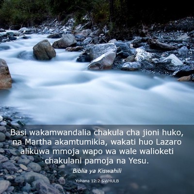 Picture 03 - Yohana 12:2 SWHULB - Basi wakamwandalia chakula cha jioni huko, na - Bible Verse Picture