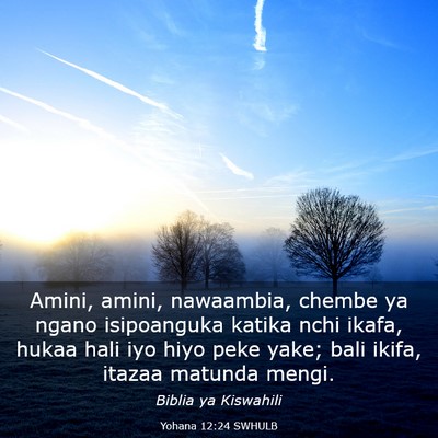 Picture 03 - Yohana 12:24 SWHULB - Amini, amini, nawaambia, chembe ya ngano - Bible Verse Picture