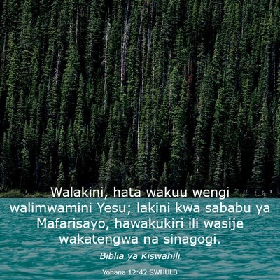 Picture 03 - Yohana 12:42 SWHULB - Walakini, hata wakuu wengi walimwamini Yesu; - Bible Verse Picture