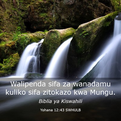 Picture 03 - Yohana 12:43 SWHULB - Walipenda sifa za wanadamu kuliko sifa zitokazo - Bible Verse Picture