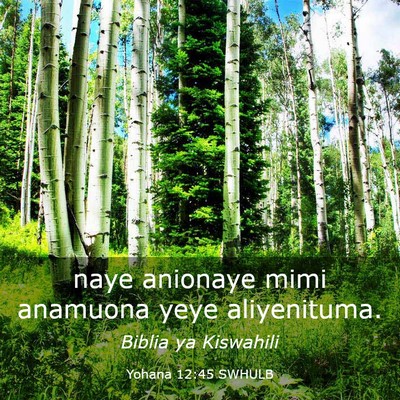 Picture 03 - Yohana 12:45 SWHULB - naye anionaye mimi anamuona yeye - Bible Verse Picture