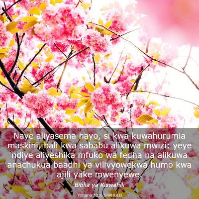 Picture 03 - Yohana 12:6 SWHULB - Naye aliyasema hayo, si kwa kuwahurumia maskini, - Bible Verse Picture